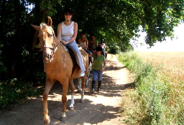 horse riding