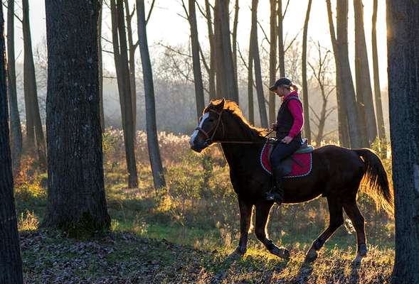 Horse riding