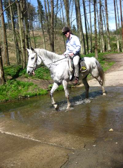 Horse riding