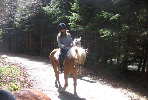Horse riding