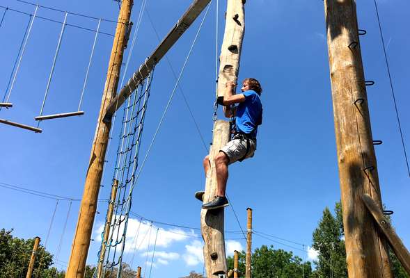 High rope | climbing a tree