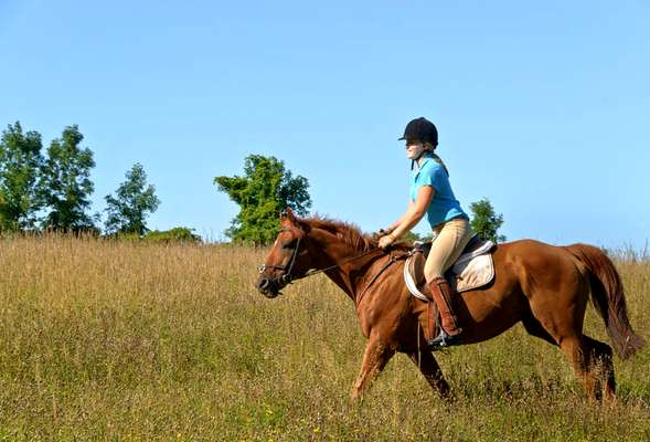 Horse riding